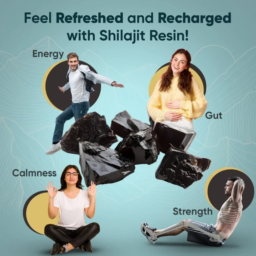 Himalayan Pure Shilajit Resin - Image 5