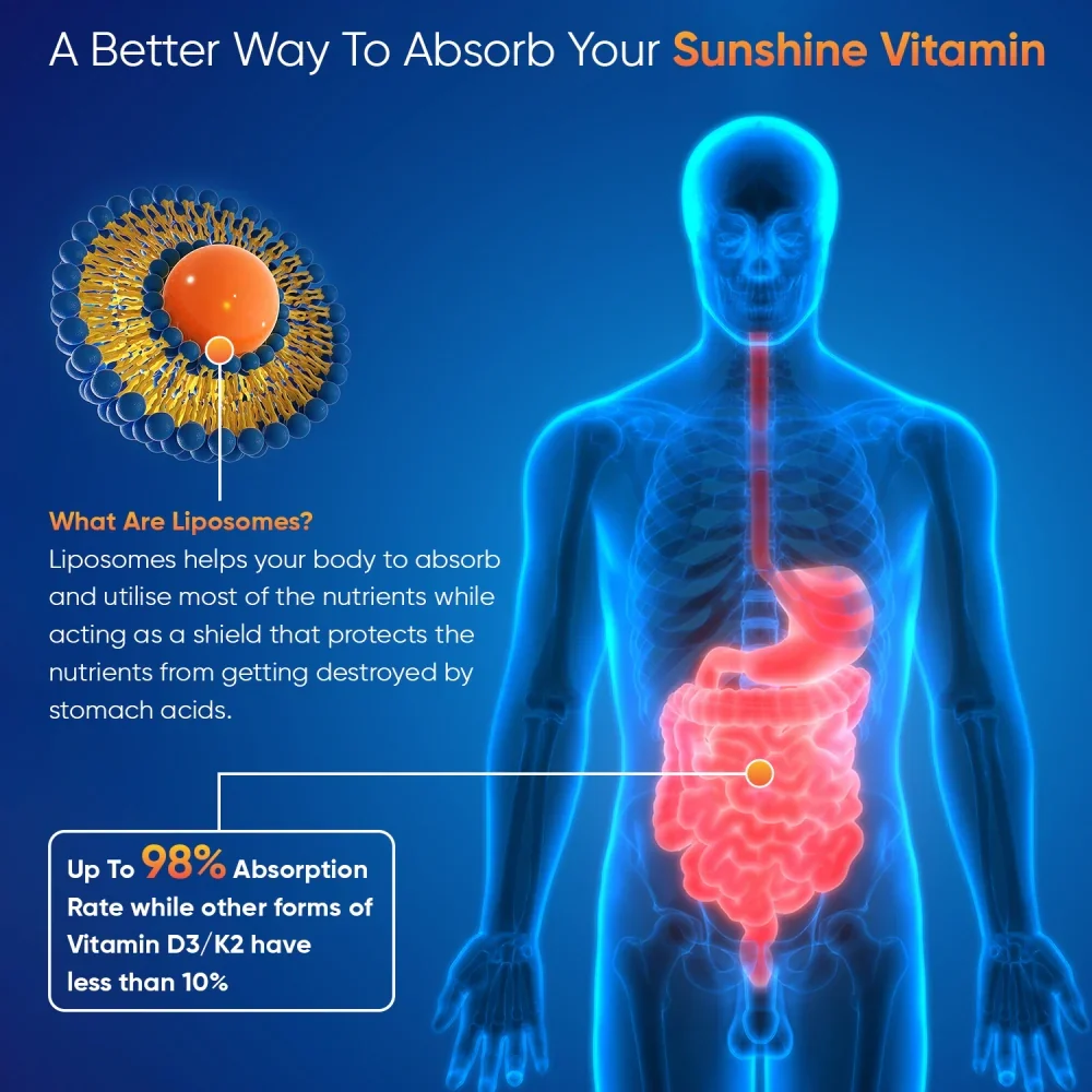 Liposomal Vitamin D3 + K2 Liquid - Image 3