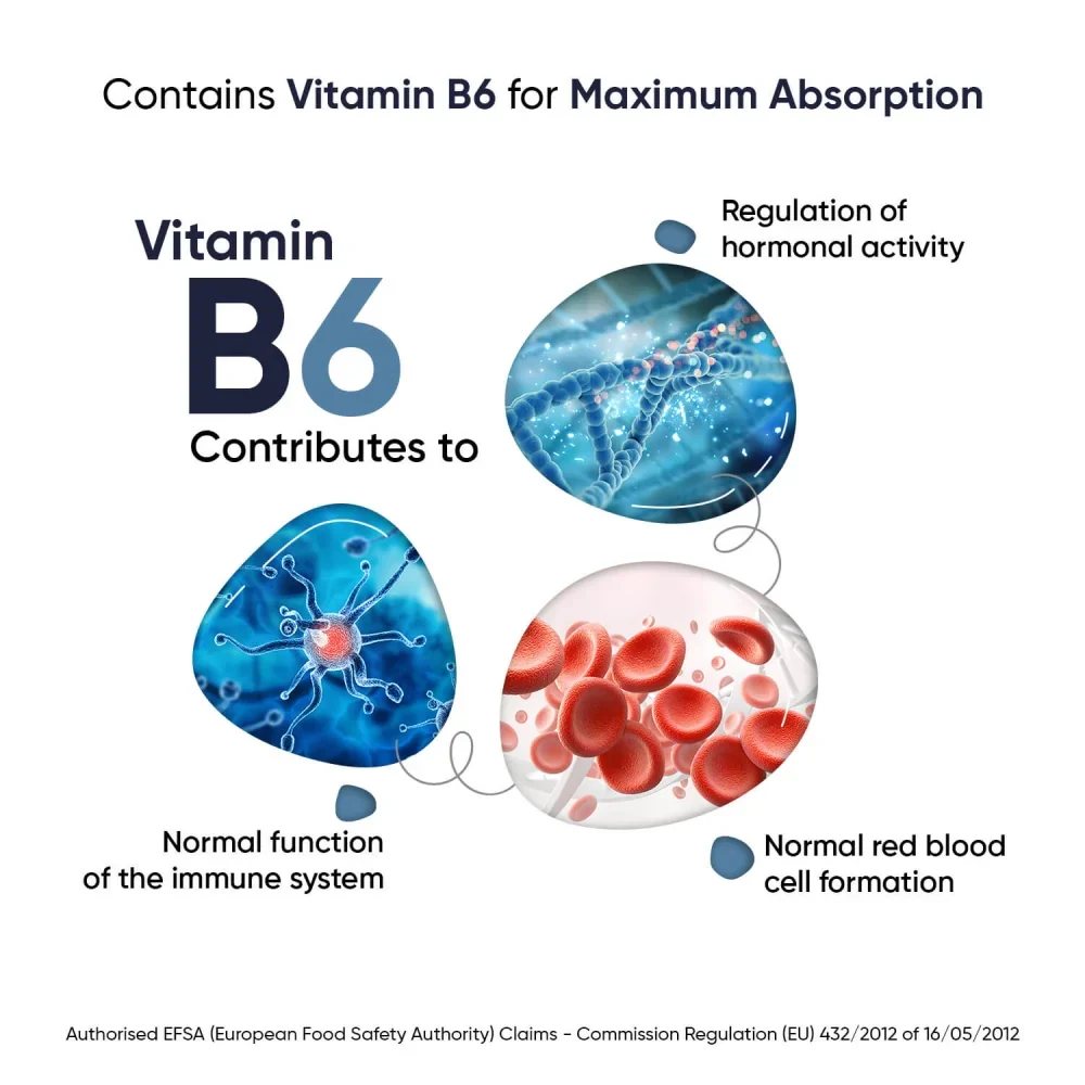 Marine Magnesium + Vitamin B6 Capsules - Image 3