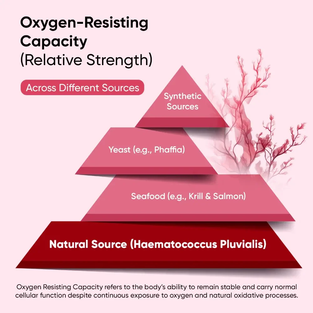 Natural Astaxanthin Softgels - Image 4